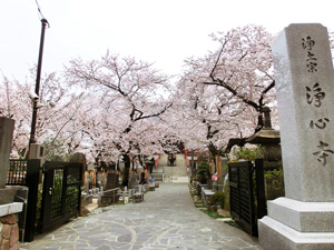 浄心寺 本郷さくら霊園