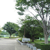 秋留台公園