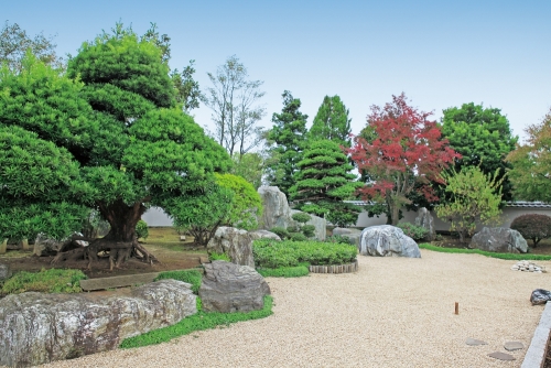 四季折々の日本庭園が美しいです。